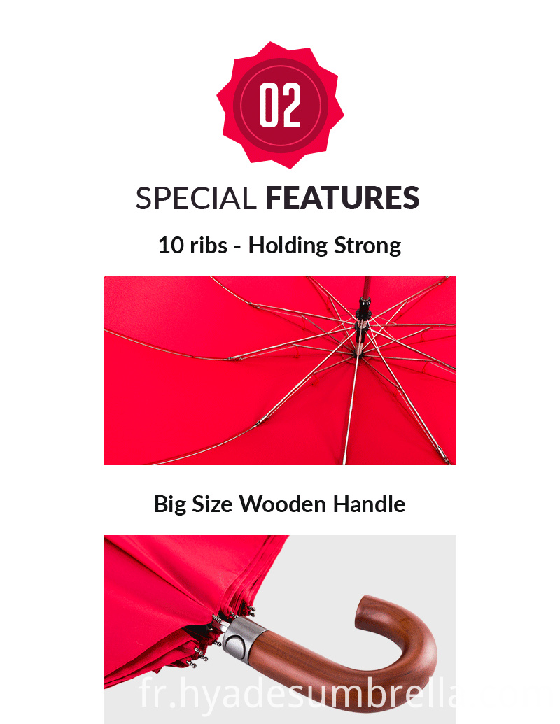 Parapluie pliant Grand Format Auto Open 2 Big Size Auto Open 2 Folding Umbrella